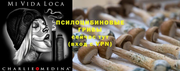 хмурый Алексин