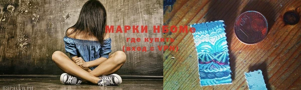 хмурый Алексин